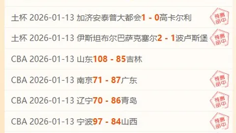 2025德甲转会风云录：奥利塞、卡尔领跑身价飙升，迪奥曼德稳居第三宝座！