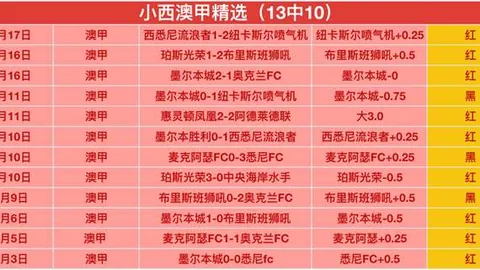 广州队“神秘小号”引发热议，卡纳瓦罗转战新任或背负巨额债务，球迷担忧情绪高涨。